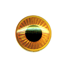 12 Plastic Eyes - Amber (7.5 mm)