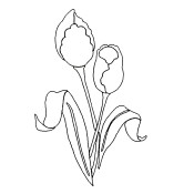 Designer Stencil - Tulips