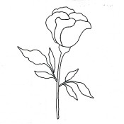 Designer Stencil - Morning Rose