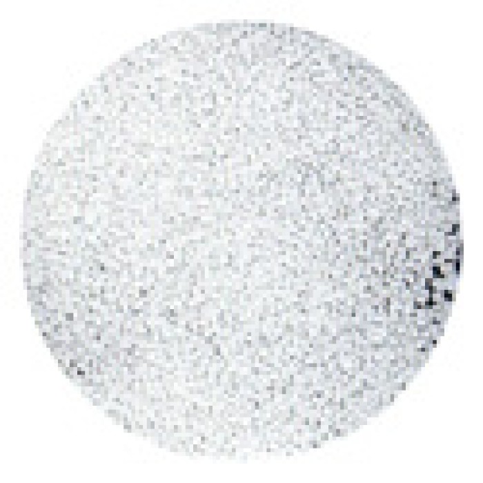 Water Globe Snowflakes - Iridescent Glitter