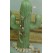 15" Saguaro Cactus Tree 