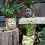 Buddha Planters