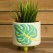 Mayco MB-1591 Monstera Footed Container Bisque