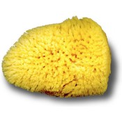 Silk sponge