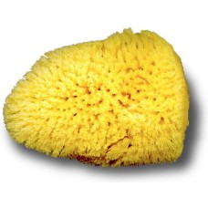 Silk sponge