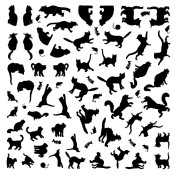 Cats Glass Decals