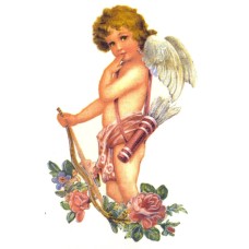 Virma 1966 Coy Cupid Decal