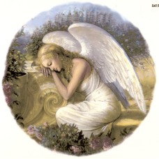 Virma 3426 Woman Angel Decal
