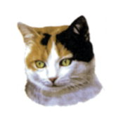 Cat Decal, Select Breed - 1" (No Background)