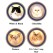 Cat Decal, Select Breed - 3" dia.