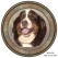 Dog Decal, Select Breed - 1" (No Background)