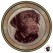Dog Decal, Select Breed - 3" (No Background)