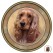 Dog Decal, Select Breed - 6" dia.