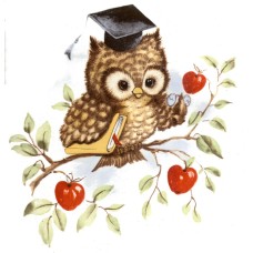 Virma 1038 Academic Owl Decal