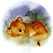 Virma 1336 Little raccoon, rabbit, tiger, porcupine and duck Decal