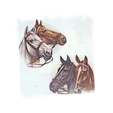 Virma 1896 Four horses Decal