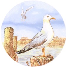 Virma 1352 Seagull on Pier Decal