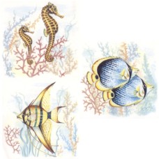 Virma 3222 Seashorse and angel fish (mural) Decal