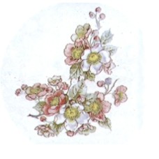 Virma 1232 Pink/Blue Flowers Decal