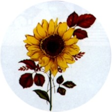Virma 1712 Sunflower Decal