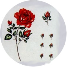 Virma 1742 Red Rose on Stem Decal