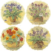 Virma decal 3288-Flowers in Pots