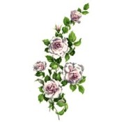 Virma decal 3298 - Pink Roses
