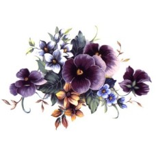 Virma 3314 Purple Sweet Pea Flower Decal