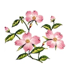 Virma 1538 Pink Flowers Decal