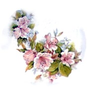 Virma decal 1570-B-Pink Flowers