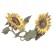 Virma 3028 Sunflowers Decal
