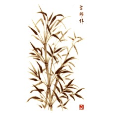 Virma 2334- Asian Grasses Decal