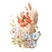 Virma decal 2344 - Desert Flowers