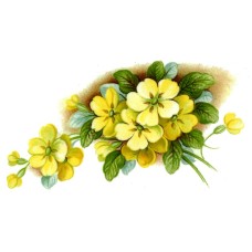 Virma 2346 Primrose Yellow Flowers Decal