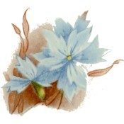 Virma decal 2366 - Blue Desert Flowers
