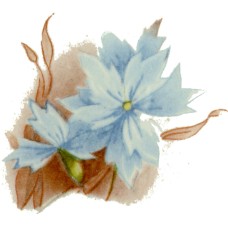Virma 2366 Blue Desert Flowers Decal