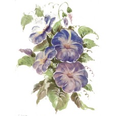 Virma 2376 Purple Ipomoea flowers Decal