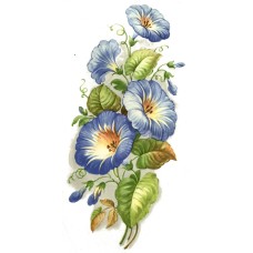 Virma 2380 Blue Morning Glory Ipomoea Flower Decal
