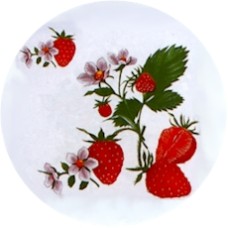 Virma 1508 Strawberries Decal