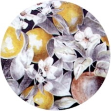 Virma 1764 Apples cover all Decal