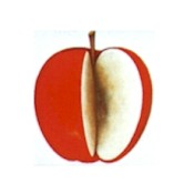 Virma decal 2156- Red Apples 2