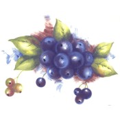 Virma decal 2090 - Blueberry Bunch