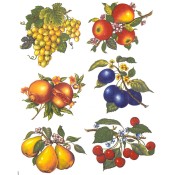 Virma decal 3350- Fruits