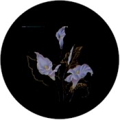 Virma decal 1148-Flowers (gold)