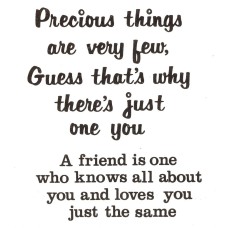 Virma 013-A Friend and Precious Things sayings Decal