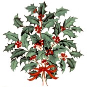 Virma decal 2248-Christmas Holly