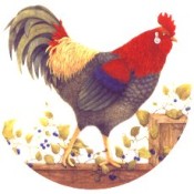 Virma decal 3196- Rooster