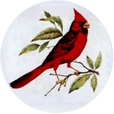 Virma 1188 Cardinal Decal