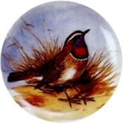 Virma decal 1718-Bird 1