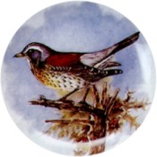 Virma decal 1720-Bird 2